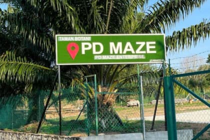 PD Maze